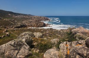 Granitic coastline