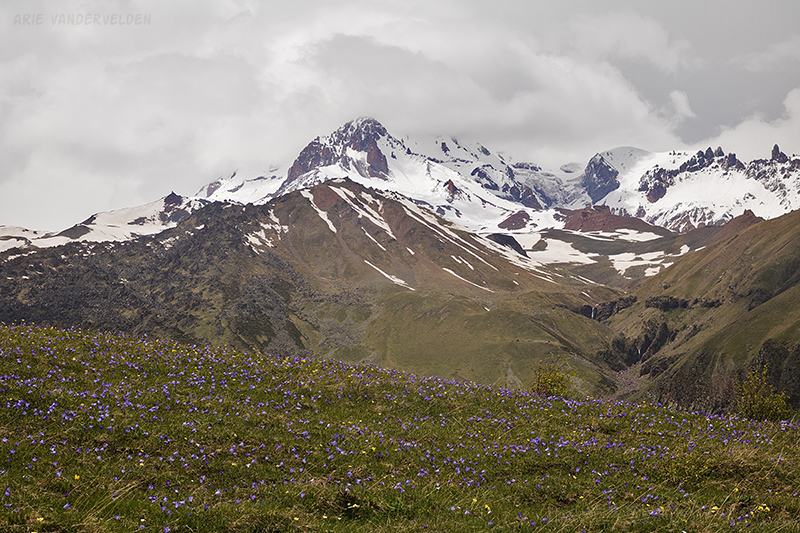 Looking towards Kazbek. The summit block is somewhere in the clouds, above the glacier.