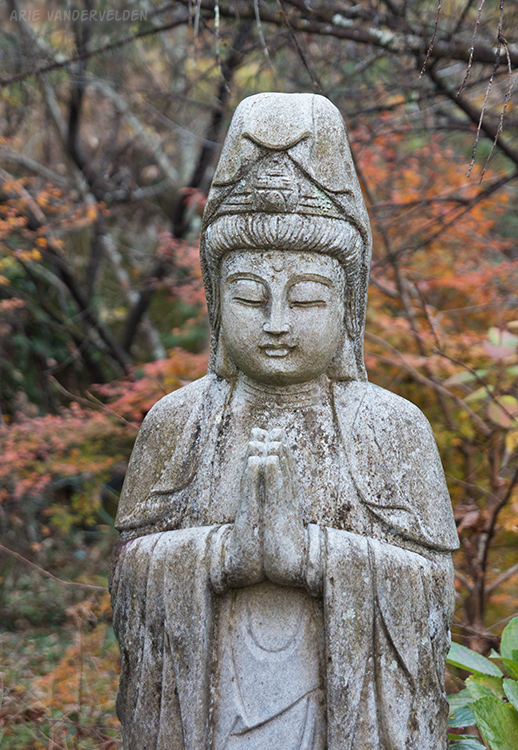 Buddha statue.