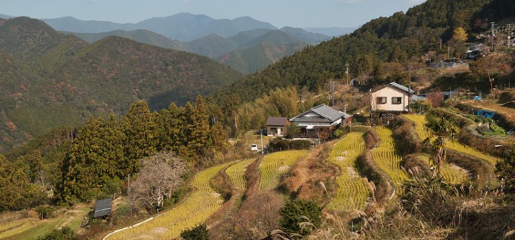 Hiking the Kumano Kodo, Japan: Takijiri to Hongu