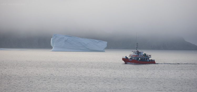 Newfoundland – Chasing Icebergs at Twillingate